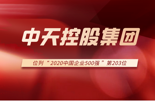 龙8国际集团列2020中国企业500强第203位！